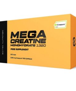 MEGA CREATINE CREAPURE MONOHYDRATE 1320 120CAPS - SCITEC