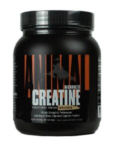 CREATINE 500GR ANIMAL - UNIVERSAL