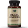 ASHWAGANDA ORGANIC 675MG - PN